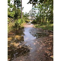 Williamsburg in James city County September 2020 high tides image